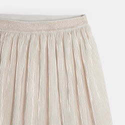 تنورة بليسيه لامعة مطرزة...